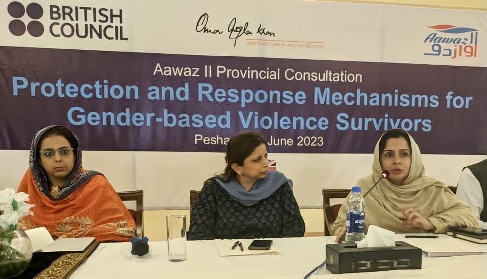 Protection & Response Mechanisms For GBV Survivors Aawaz II Provincial Consultation-KP